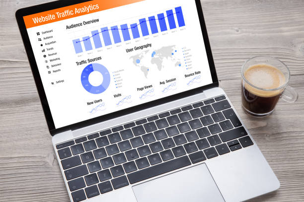Website traffic changes after a Google algorithm update"